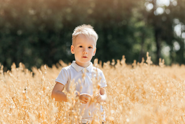 Little boy walking through the field in the summer. Childhood. Summertime. Summer vacation - Foto, afbeelding