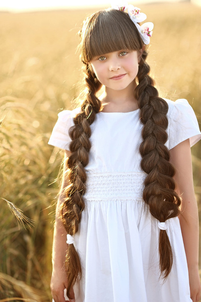 portrait of a beautiful little girl in a field - Foto, afbeelding