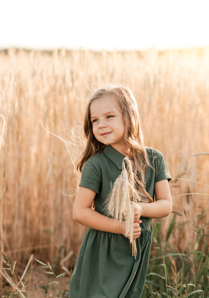 Hermosa niña con el pelo largo caminando a través de un campo de trigo en un día soleado. Retrato exterior. Niños relajados - Foto, imagen