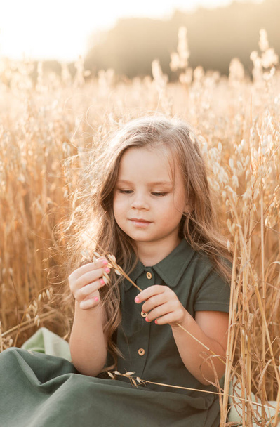 Güneşli bir günde buğday tarlasında yürüyen uzun saçlı güzel bir kız. Açık hava portresi. Çocuklar dinleniyor. - Fotoğraf, Görsel