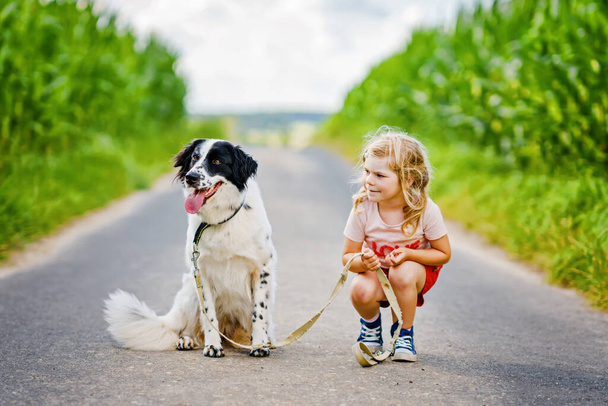 Linda niña preescolar va a dar un paseo con el perro de la familia en la naturaleza. Feliz niño sonriente divirtiéndose con el perro, correr y abrazarse. Familia feliz al aire libre. Amistad y amor entre animales y niños - Foto, imagen