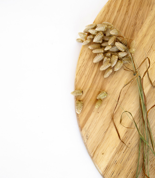 Spikelets of wheat - Фото, зображення