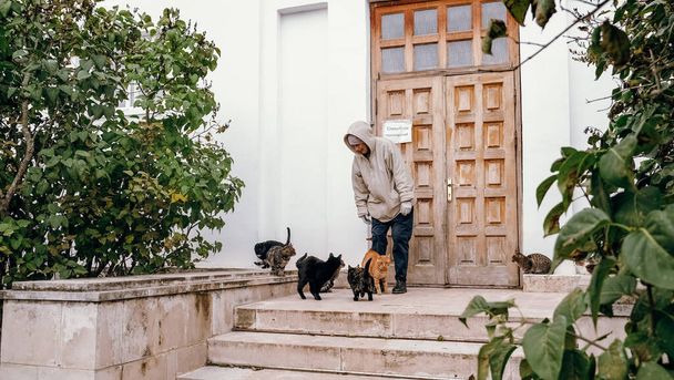 09.24.2021, Russia, Yasnaya Polyana Museum-Estate of the writer Leo Nikolaevich Tolstoy in Tula in autumn. Homeless cats in front of the building with a woman. - Foto, immagini