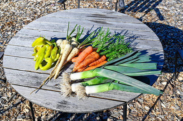 свежие овощи в частном саду сентябрь 2021 - Фото, изображение