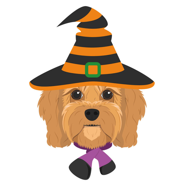 Cartão do Dia das Bruxas. Cavoodle cão vestido como uma bruxa com chapéu preto e laranja e cachecol roxo e preto - Vetor, Imagem