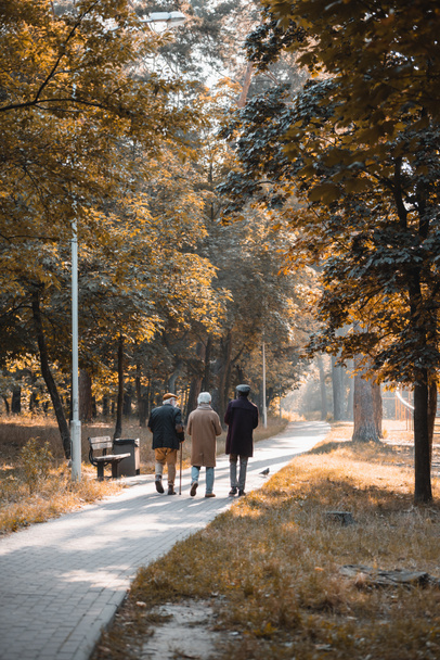 Interracial elderly men walking on path in park during autumn  - Zdjęcie, obraz