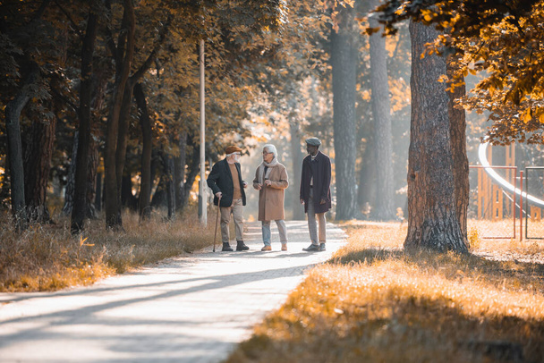 Multiethnic senior men talking near african american friend in autumn park  - Fotoğraf, Görsel