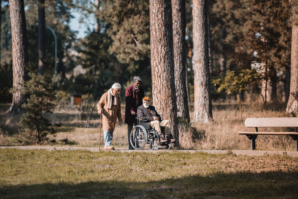 Ancianos hombres interracial con bastón y silla de ruedas en el parque de otoño  - Foto, Imagen