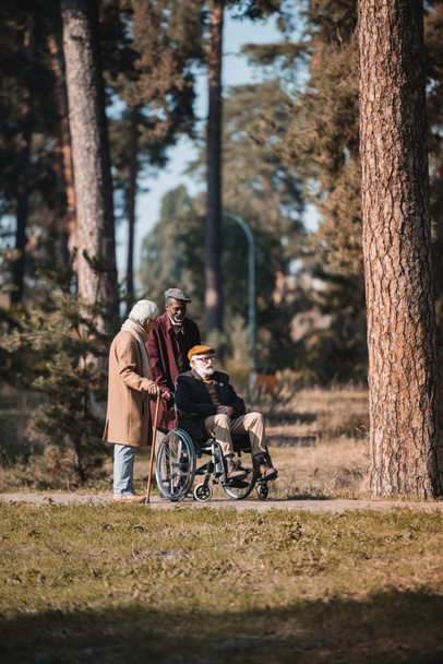 Межрасовые старшие мужчины, идущие рядом с другом в инвалидной коляске в осеннем парке  - Фото, изображение