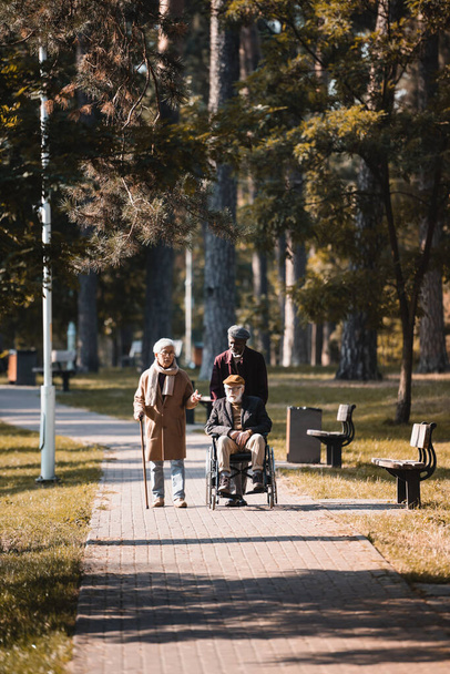 Hombres mayores multiétnicos con silla de ruedas y bastón de caminar hablando en el parque de otoño  - Foto, imagen