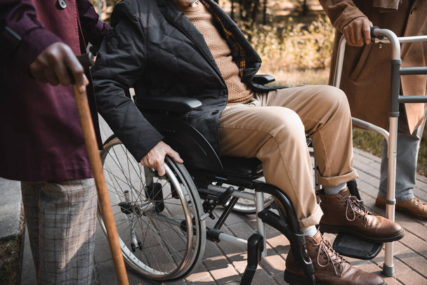 Widok człowieka na wózku inwalidzkim w pobliżu przyjaciół z ramą spacerową i trzciny cukrowej w parku  - Zdjęcie, obraz
