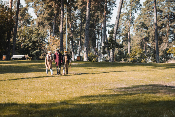 Пожилые мультиэтнические мужчины прогуливаются по газону в осеннем парке  - Фото, изображение