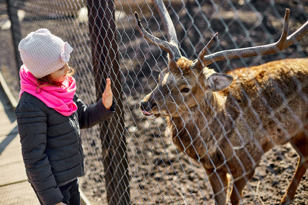 Cute Adult deer licks hand of a little girl, child, deers living in nature field, zoo, Wildlife and ecology concept, Urban lifestyle relax, Hipster on vacation with farm animals. - Photo, Image