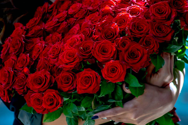 Des roses rouges dans les mains d'une jolie dame. Roses aux épines rouges et mains de femme. Un cadeau pour une femme bien-aimée - Photo, image