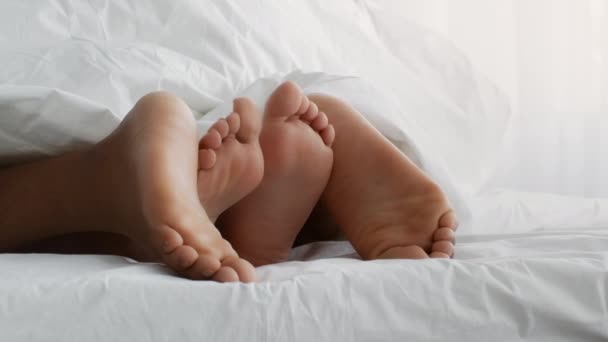 Primo piano colpo irriconoscibile diversi piedi coppia sotto coperta, partner fare l'amore a letto, rallentatore - Filmati, video