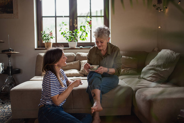 Happy senior mother having tea with adult daughter indoors at home, talking. - Foto, Bild