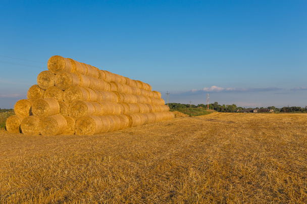 Piled hay bales on a field against blue sky - Fotoğraf, Görsel