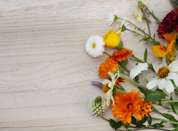 flat lay of spring wildflowers on rough and neutral surface with copy space - Foto, afbeelding