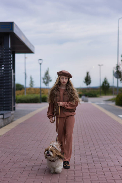 A teenage girl walks with a dog on a leash through the city streets. A girl walks along the sidewalk with a dog. - Foto, afbeelding