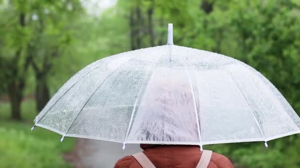Γυναίκα με διάφανη ομπρέλα κάτω από τη βροχή στο δρόμο, κοντινό πλάνο, πίσω όψη - Πλάνα, βίντεο