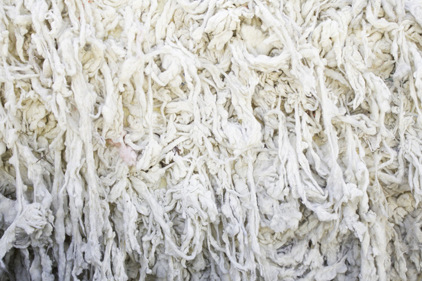 羊毛の結び目 - 写真・画像
