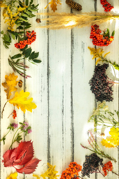 Осень цвета, Плоский лежал, Реальные листья, семена и фрукты, связанные с осенью, Белые доски с местом для надписи, Вертикальная фотография  - Фото, изображение
