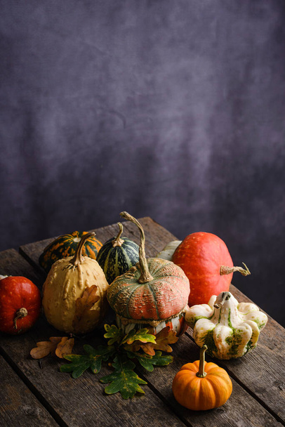 Various decorative pumpkins and dry leaves. - Фото, изображение