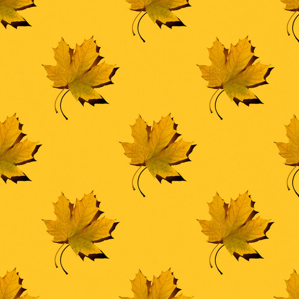 flat seamless pattern of maple leaves on a yellow background with a shadow - Foto, Imagen