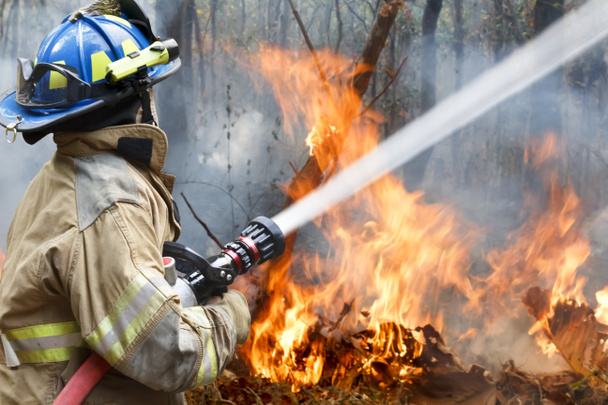 Los bomberos ayudaron a combatir un incendio forestal
 - Foto, imagen