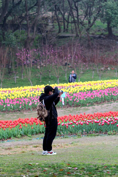 a young woman in a pink dress with a backpack on the background of the park - Photo, Image