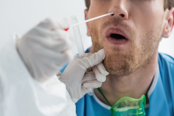 Ausgeschnittene Ansicht eines Arztes in Latexhandschuhen, der einen Abstrich in Nasennasennähe des Patienten hält, während er einen nasalen PCR-Test durchführt - Foto, Bild