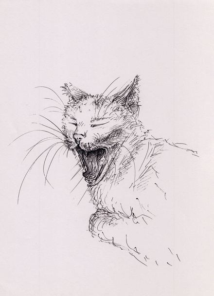 Tintás tollrajz aranyos ásító macskáról. Fekete-fehér macskafestés. Függőleges alkotás meditáció, relaxációs háttér, üdvözlőlap, poszter, kisállat bolt. Imádnivaló cica illusztráció. - Fotó, kép