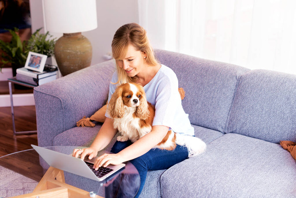 Shot of middle aged businesswoman using laptop while sitting on a couch at home and working from home. Her cute puppy relaxing in her lap. - Foto, Imagen