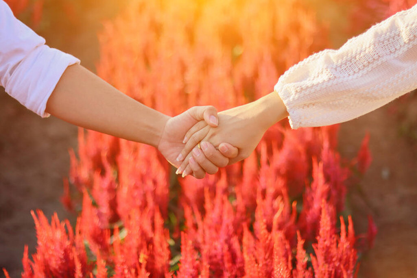 νεαρό ζευγάρι Ασιατών στέκεται σε ένα φωτεινό κόκκινο κήπο λουλουδιών και οι εραστές κρατιούνται χέρι-χέρι ως σύμβολο αγάπης, φιλίας και συμπόνιας. Η έννοια της αγάπης, της φιλίας και της καλοσύνης των ζευγαριών. - Φωτογραφία, εικόνα
