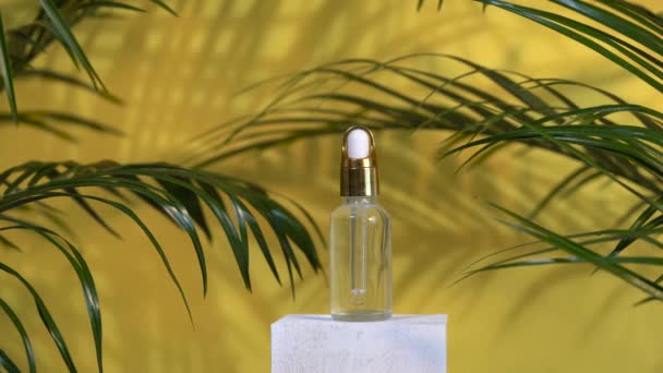 Cam şişedeki serum beyaz podyumda kalıyor, sarı arka plan, palmiye yaprakları ve gölgeler. Aromaterapi yağı, doğal kozmetik. - Video, Çekim