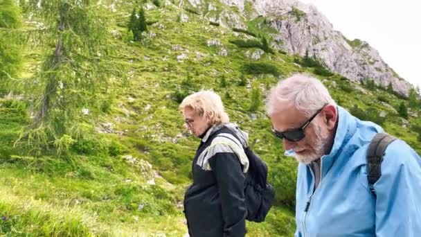 Ηλικιωμένο ζευγάρι κατά τη διάρκεια μιας εκδρομής στο βουνό στις Άλπεις, θερινή εποχή - Πλάνα, βίντεο