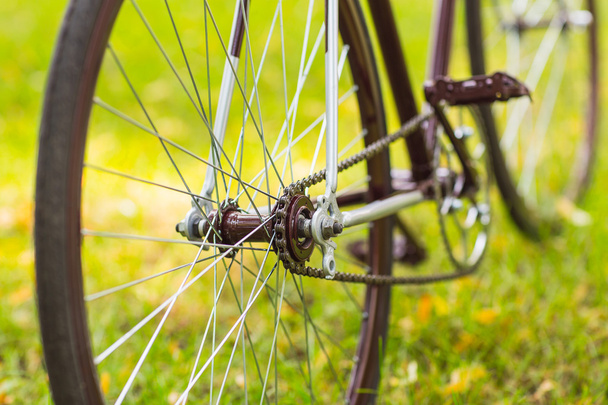 Stylish bicycle on grass - Foto, Imagen