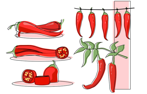 Set of chili pepper hanging and cut as a food ingredient on white background - Vettoriali, immagini