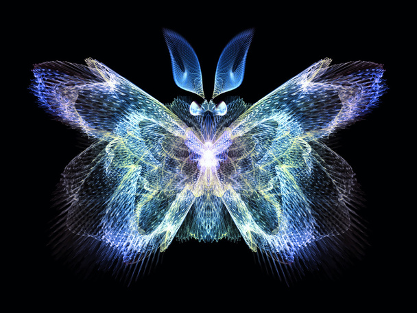 Illusion of Butterfly - Photo, image