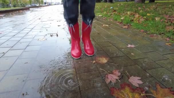 赤いブーツは水たまりへの大きなステップです。スローモーションのクローズアップ。秋の水たまり - 映像、動画