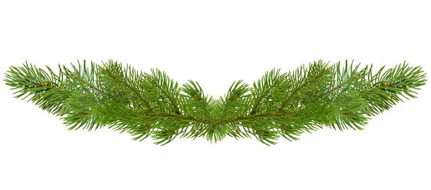 Wide Christmas decoration. Long Christmas garland of Fir branches. Natural winter decor. Christmas decoration. Isolated. - Photo, Image