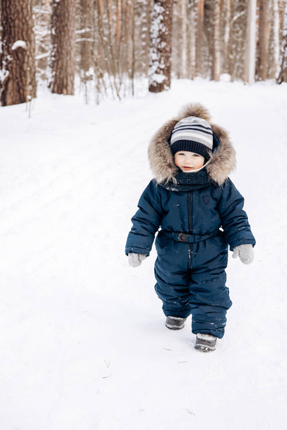 Child walking in snowy spruce forest. Little kid boy having fun outdoors in winter nature. Christmas holiday. Cute toddler boy in blue overalls and knitted scarf and cap playing in park. - Photo, Image