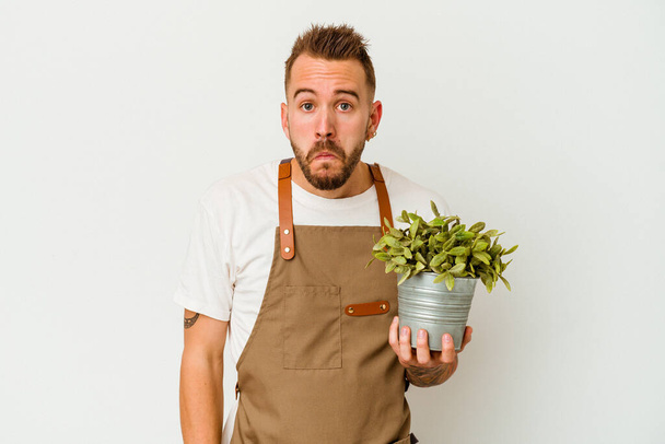 Jonge tuinman getatoeëerde blanke man houdt een plant geïsoleerd op witte achtergrond shrugs schouders en open ogen verward. - Foto, afbeelding