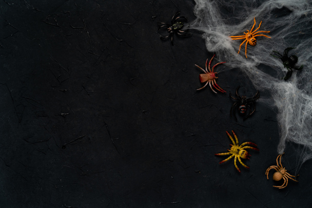 tela de araña con arañas sobre un fondo negro, Halloween, vista superior, espacio de copia. - Foto, Imagen