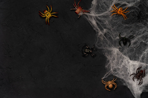 spider web with spiders on a black background, Halloween, top view.  - 写真・画像
