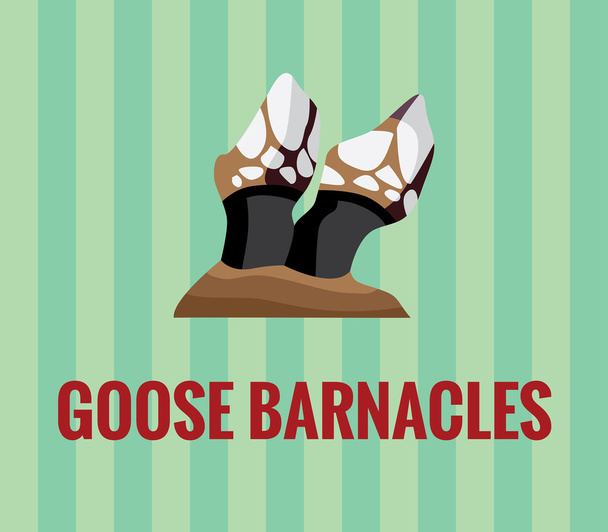 Goose-barnacles - disegno su sfondo verde
. - Vettoriali, immagini