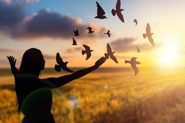 Espérons le concept de foi. Femme lance des oiseaux sur le fond d'un coucher de soleil ensoleillé. - Photo, image