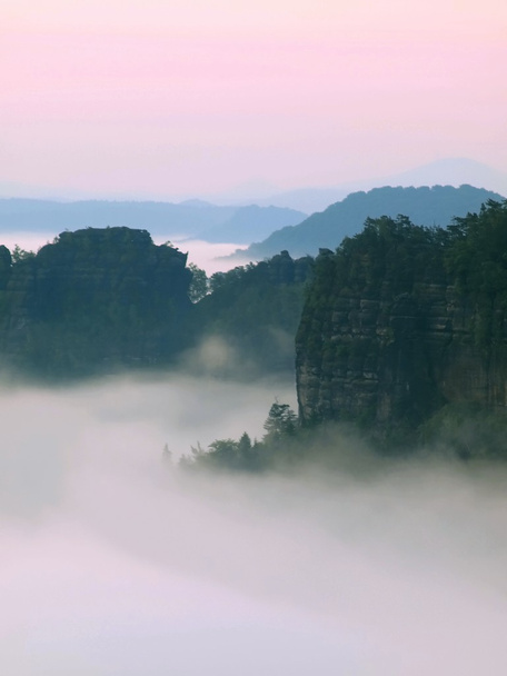 Autumn is comming. Pink cold sunrise in a fall misty valley in Saxony Switzerland park. - Foto, imagen