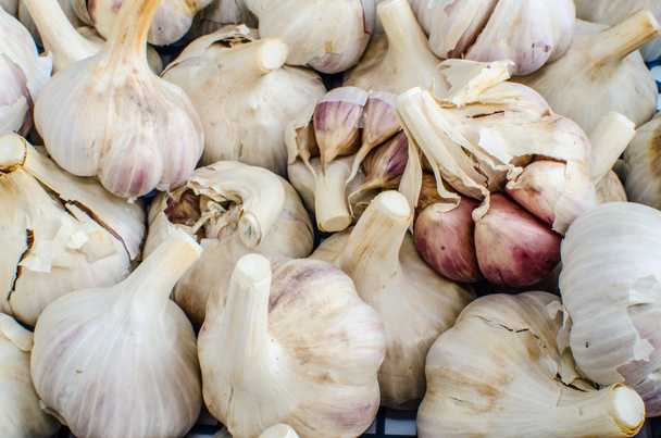 Bio garlic from bio herbs garden - Fotografie, Obrázek