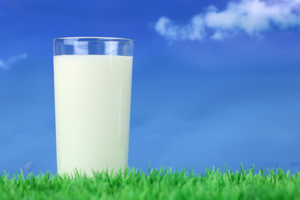 Glass with milk on green meadow and copyspace - Фото, изображение